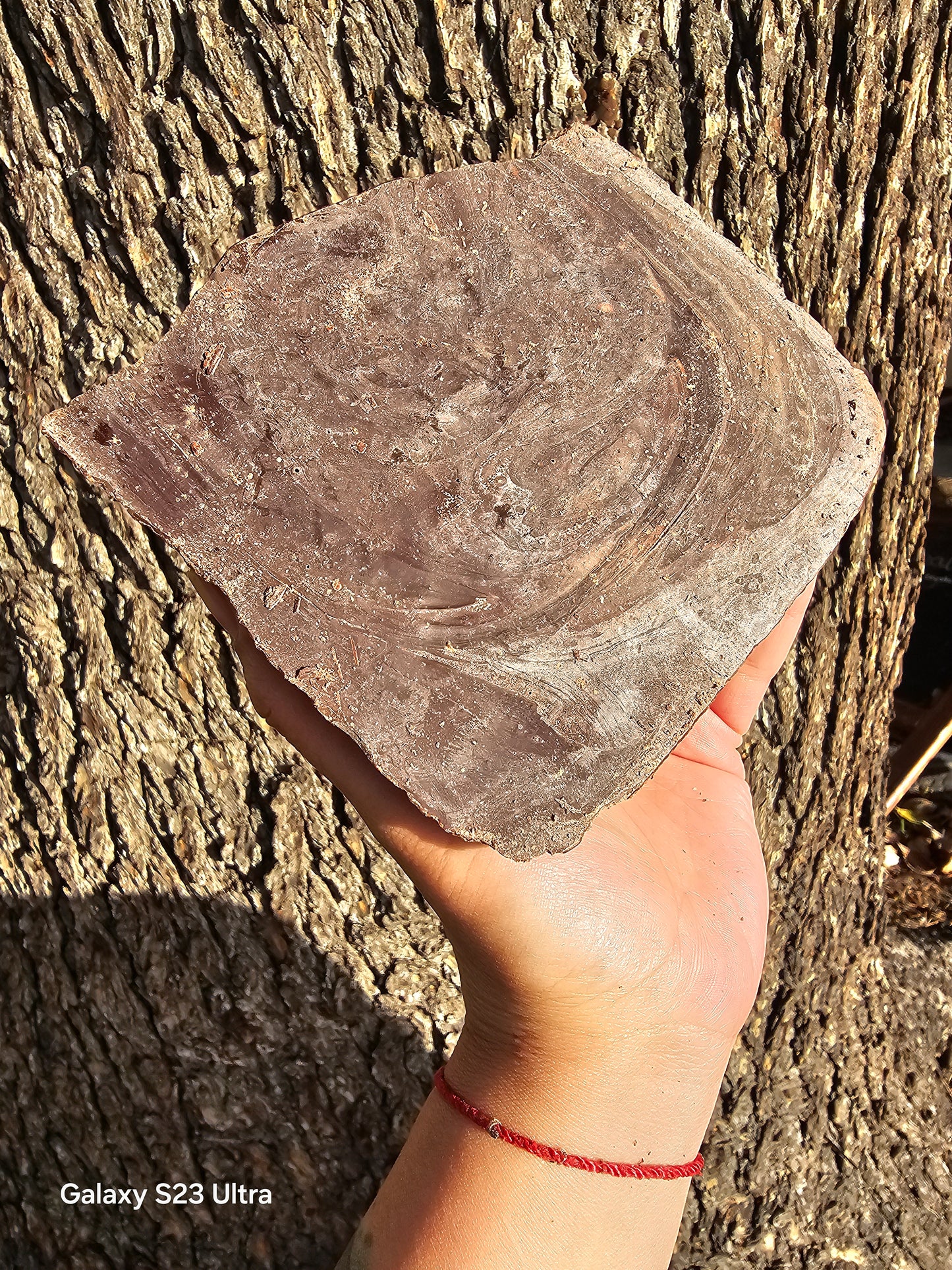Cacao (100% mayan ceremonial grade)