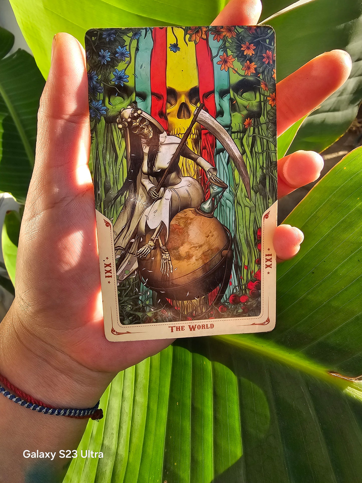 Services : Tarot / Oracle Reading