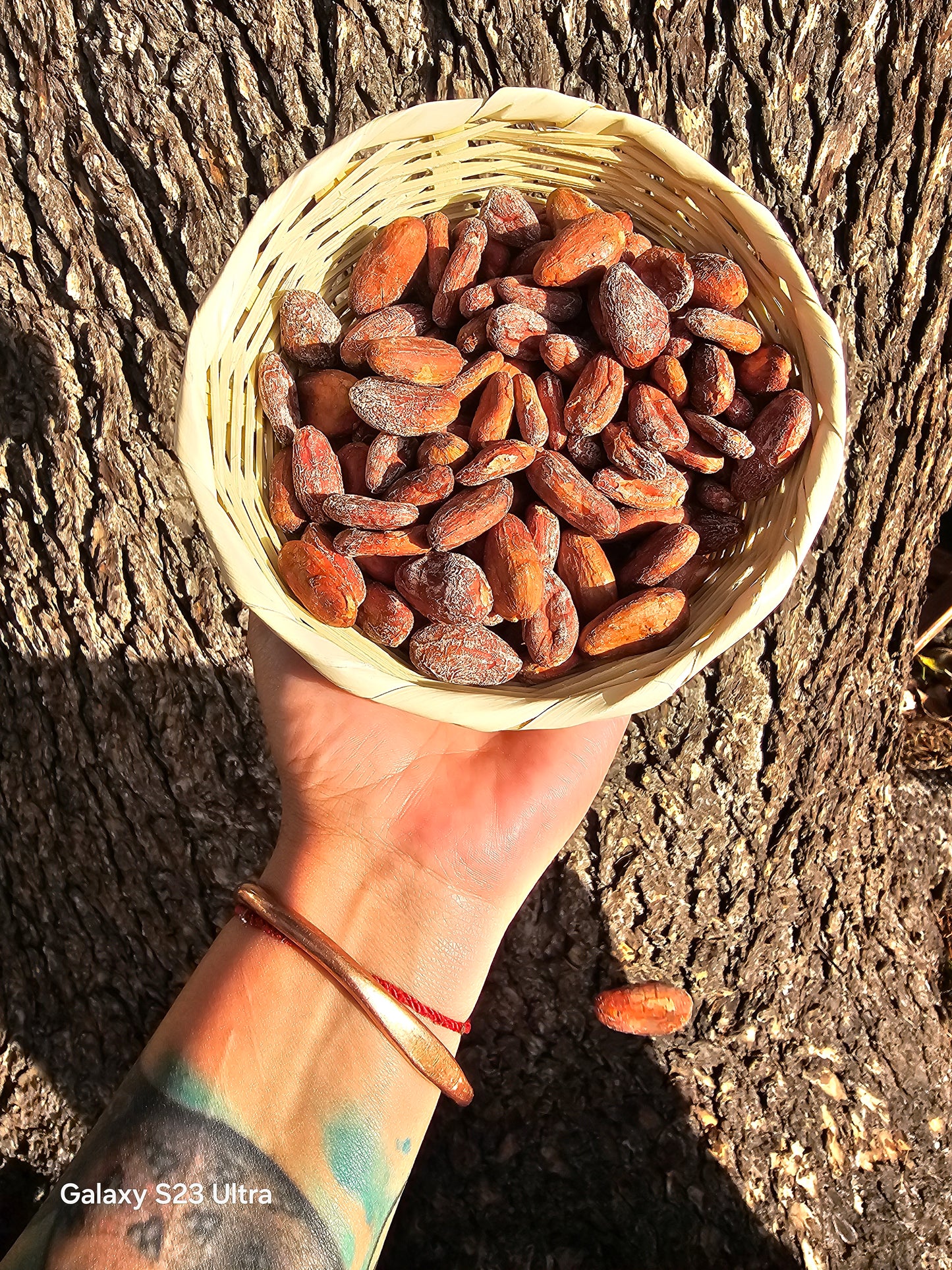 Cacao (100% mayan ceremonial grade)